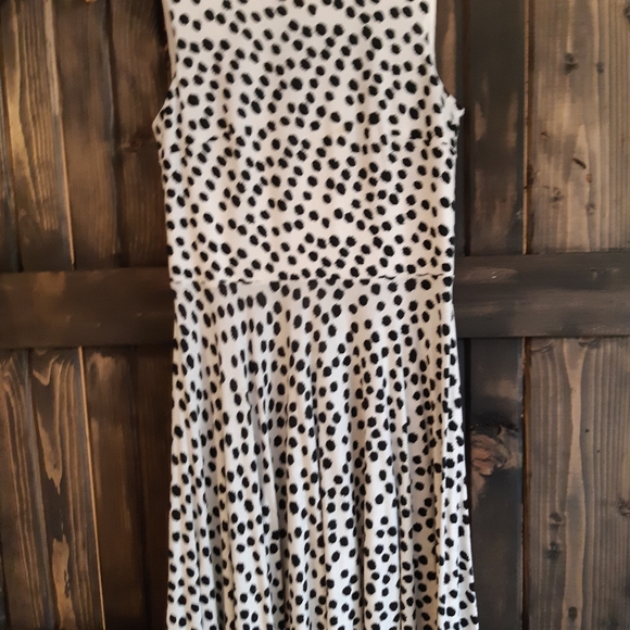 Ann Taylor Loft Dress - Picture 3 of 8